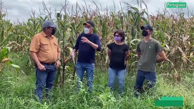 Cultivando Patria Episodio: Agrícola Ajuro de Portuguesa estima obtener 6 toneladas de arroz por hectárea