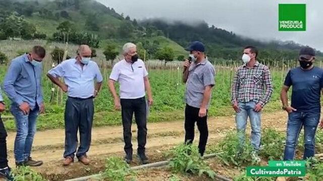 Cultivando Patria Episodio: Unidad de Producción La Primavera en Táchira incrementa el cultivo de hortalizas