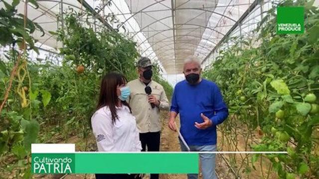 Cultivando Patria Episodio: Conociendo más de la Empresa Integral de Producción Agraria Socialista Valle de QUÍBOR