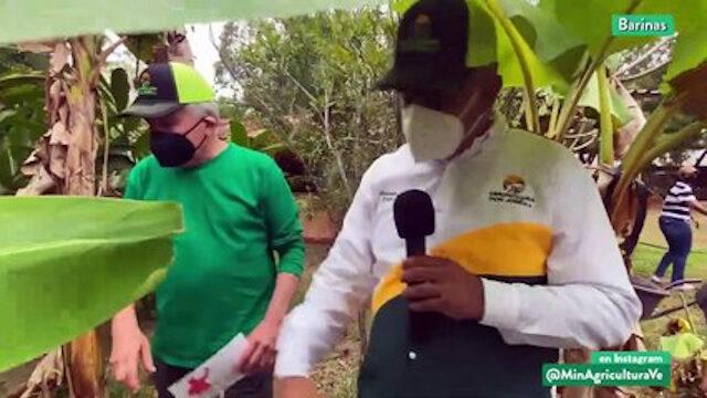 Cultivando Patria Episodio: Agropecuaria Don José de Barinas producirá 200 cajas de huevos al día