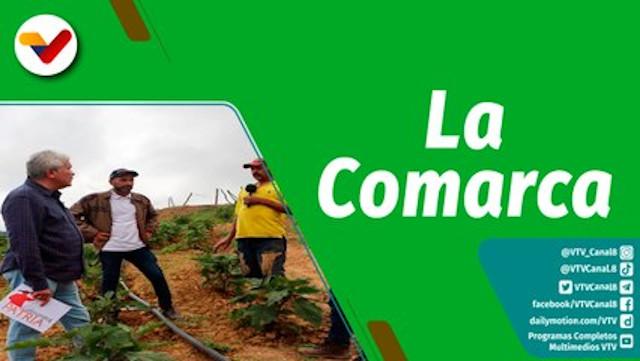 Cultivando Patria Episodio: Siembra en pequeña escala y alto rendimiento en la finca La Comarca