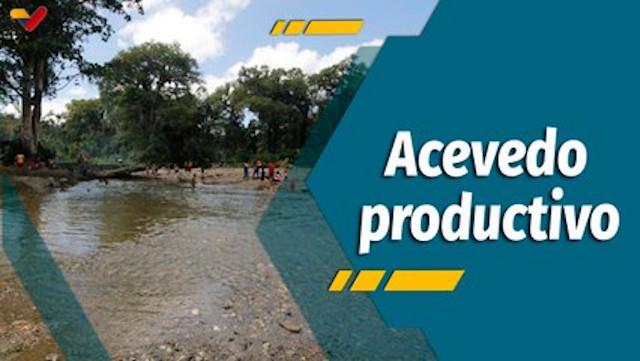 A Todo Motor por Venezuela Episodio: Emprendedores del municipio Acevedo apuestan a la producción nacional